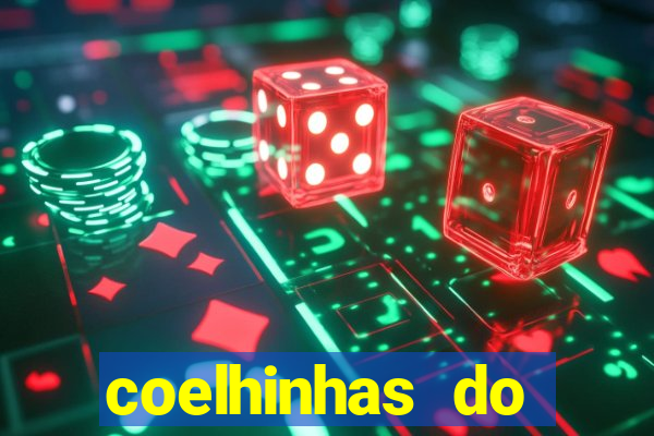 coelhinhas do brasil site